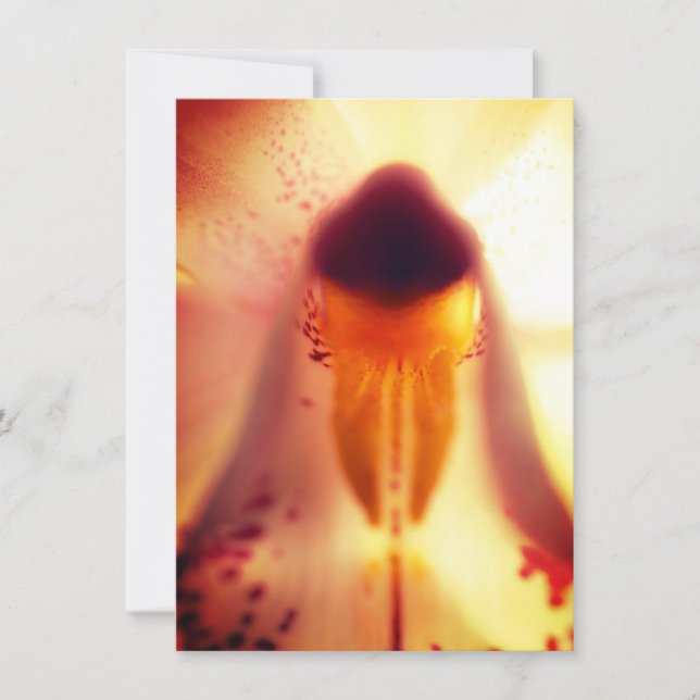 Placa plana Design Floral (Frente)