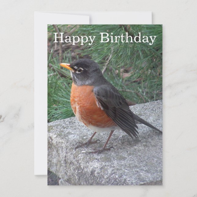 Placa Plana Robin Photo Birthday bonito (Frente)