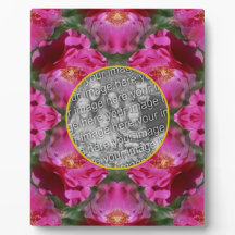 Rosas Rosa Abstrato Floral Adiciona Sua Foto