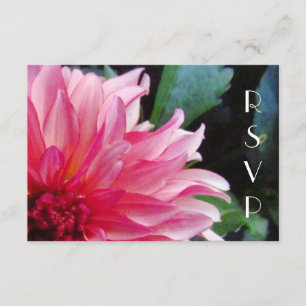 Placa RSVP Dahlia rosa