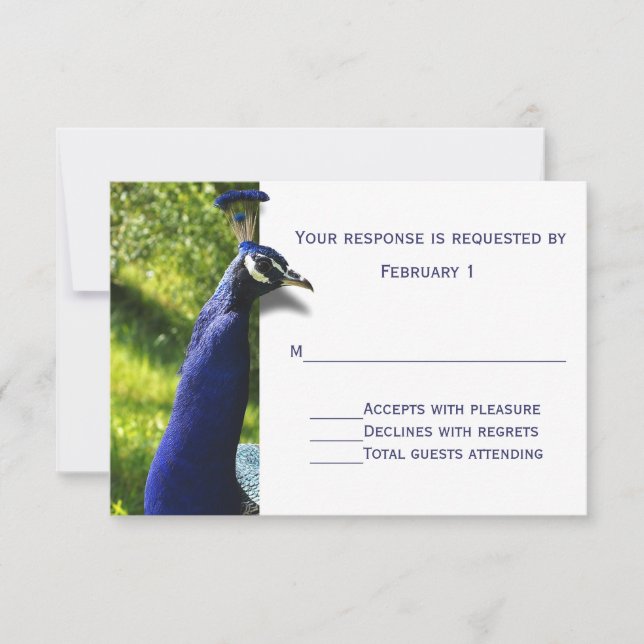 Placa RSVP de Resposta de Casamento de Peacock na  (Frente)