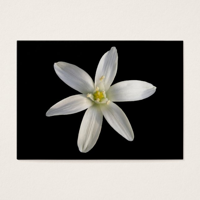 Placa Star of Bethlehem ~ ATC (Frente)