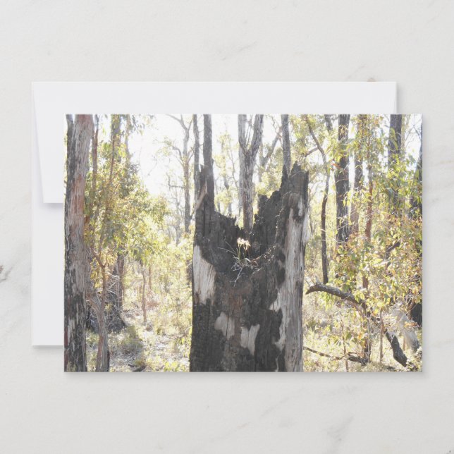 Placa Três Iluminada (Frente)