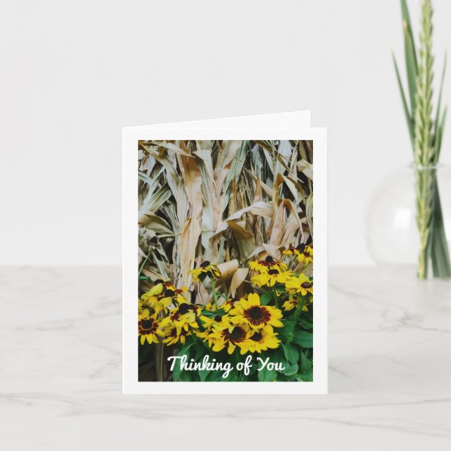 PLACAS DE CAIXA PENSANDO EM SUAS NOTAS DE VAZIO (Frente)