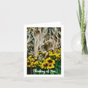 PLACAS DE CAIXA PENSANDO EM SUAS NOTAS DE VAZIO