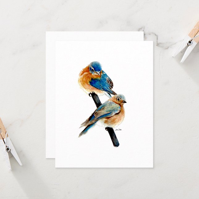 Placas de Nota de Cor da Água Bluebird Beautiufl (Beautiful Watercolor Bluebird Note Cards by Jenn Steffen Art)