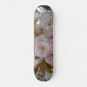 Placas de skate de beleza primavera