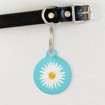 Daisy Flower Ilustrada em Azul com Informações de 