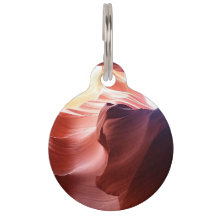 Para o animal de estimação