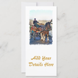 PLACAS RACK VICTORIANAS