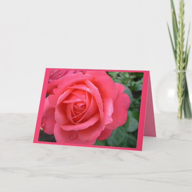Placas-rosa cor-de-rosa Cartão de saudação persona (Frente)