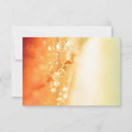 Placas RSVP de Casamento