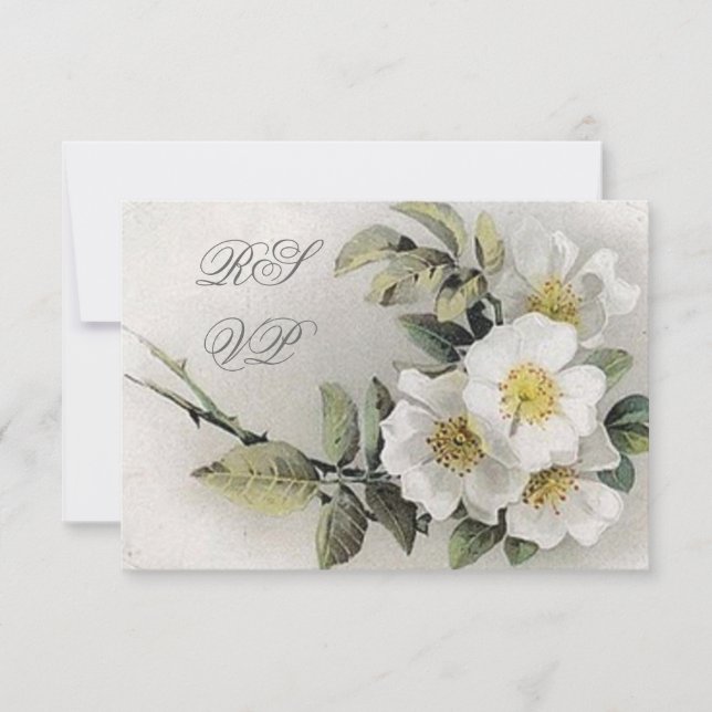Placas RSVP do Flor da Apple Vintage (Frente)