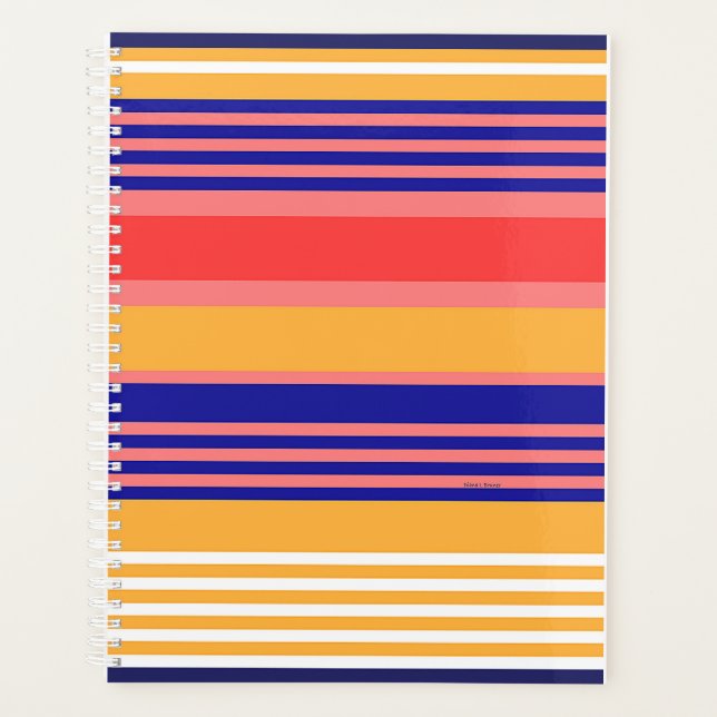 Planejador AZUL AZUL AMARELO DO ORGANIZADOR (Frente)