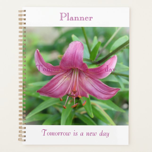 Planejador Beleza Rosa (Frente)