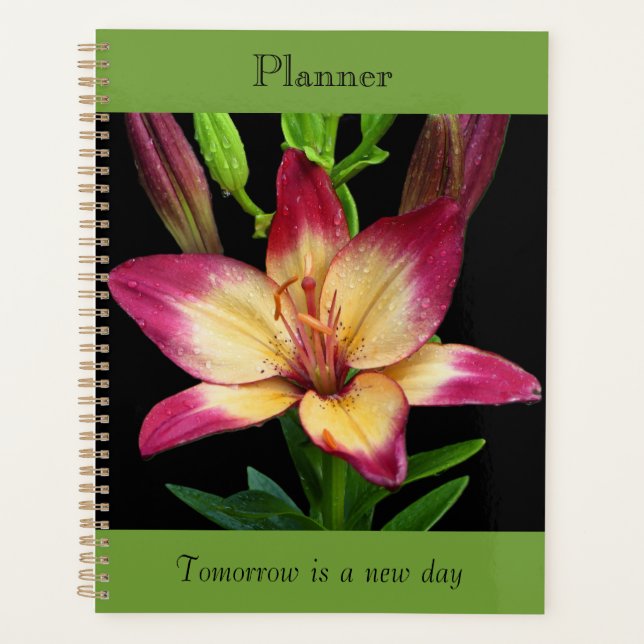Planejador Bold Lily (Frente)