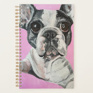 Planejador Bulldog Francês