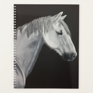 Planejador Cavalo Branco
