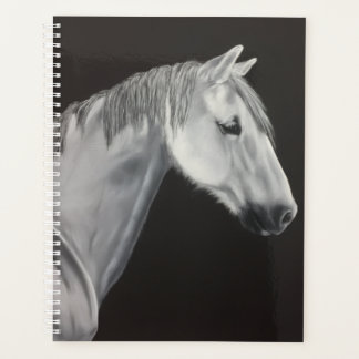 Planejador Cavalo Branco