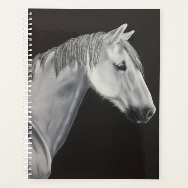 Planejador Cavalo Branco (Frente)