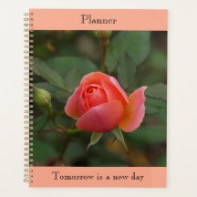 Planejador Coral Rose