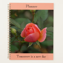 Planejador Coral Rose