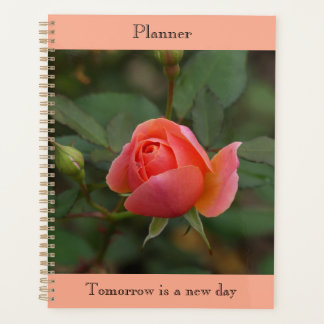 Planejador Coral Rose