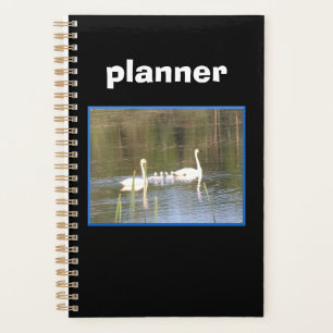 Planejador da Família Swan Branca