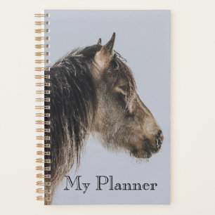 Planejador de Cavalo - Tema de Inverno