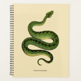 Planejador de Cobra de Qualquer Ano - 21,59cm X 27