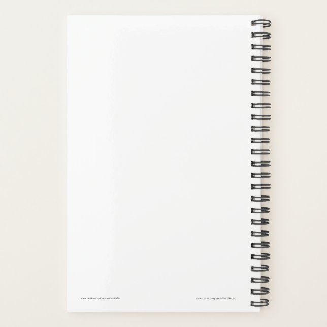 Planejador de Diário (Verso)