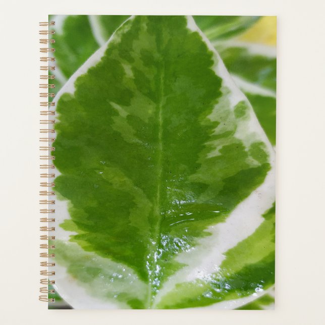 Planejador de Duro Personalizado (8,5" x 11") (Frente)