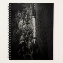 Planejador de Floresta Nevada à Noite