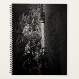 Planejador de Floresta Nevada à Noite