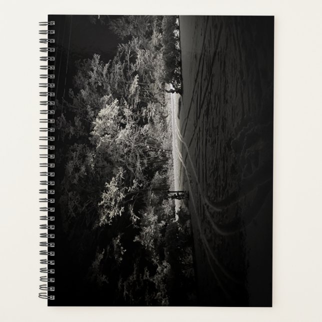 Planejador de Floresta Nevada à Noite (Frente)