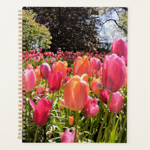 Planejador de Jardinagem Tulip