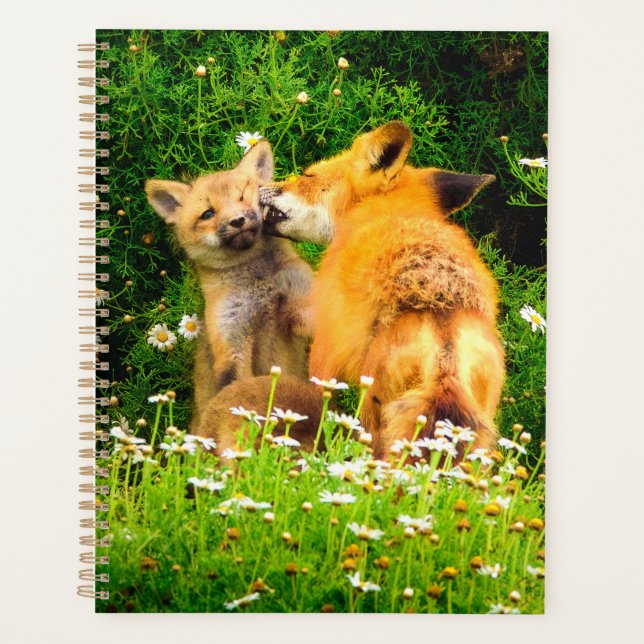 Planejador de Kits de Raposa Vermelha | Arte de Vi (Frente)