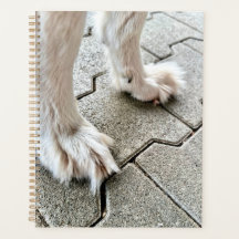 Planejador de patas de Grpolegadas Ofy de Fee