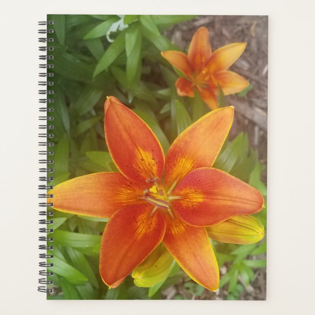 Planejador Diário (Frente)