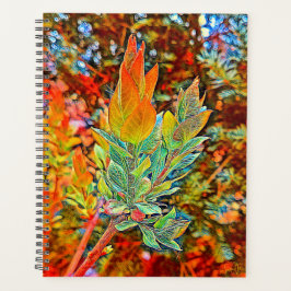 Planejador Diário do Cobrir duro