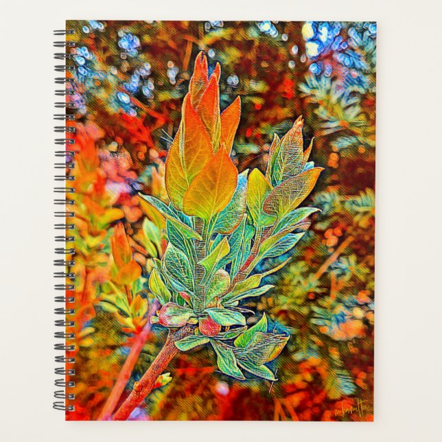 Planejador Diário do Cobrir duro (Frente)