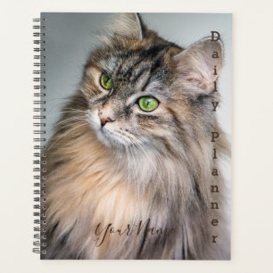 Planejador Diário - Gato Himalaio - HAMbWG