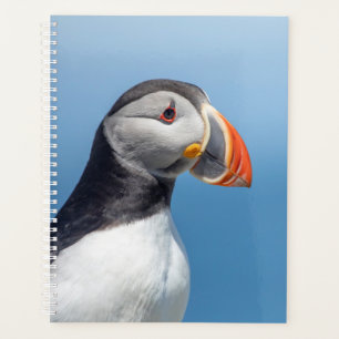 Planejador do Atlântico Puffin 2026 Maine Coasta