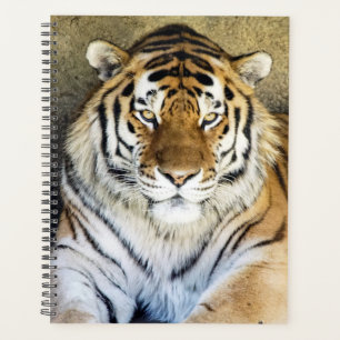 Planejador Espiral Semanal/Mensal do Tiger