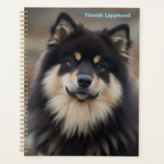 Planejador Finnish Lapphund