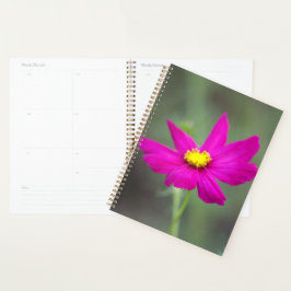 Planejador Flor Rosa