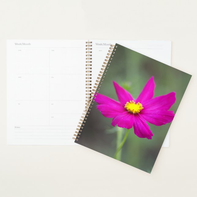 Planejador Flor Rosa (Exibição)
