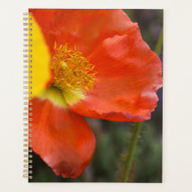 Planejador Floral de Papoula Laranja Vibrante – Ma