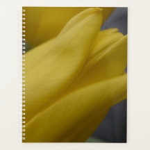 Planejador Floral Tulipa Amarela – Fotografia de F