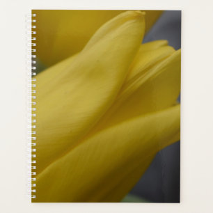 Planejador Floral Tulipa Amarela – Fotografia de F